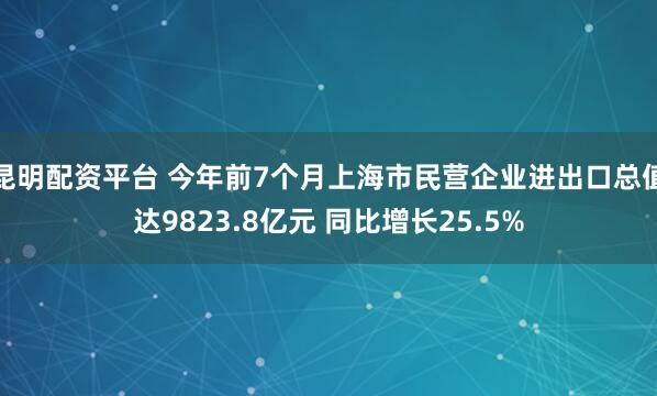 昆明配资平台 今年前7个月上海市民营企业进出口总值达9823.8亿元 同比增长25.5%